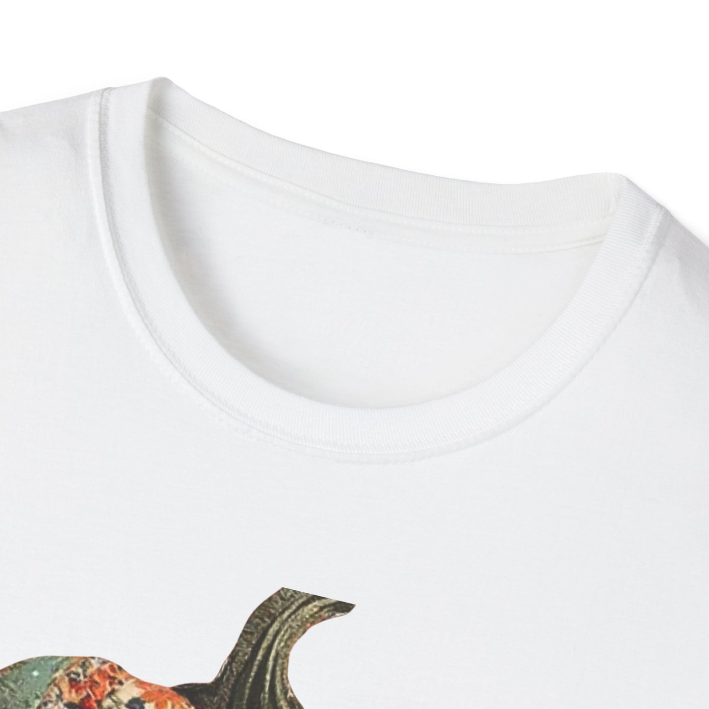 Pumpkin Patch T-Shirt -Gildan Soft style